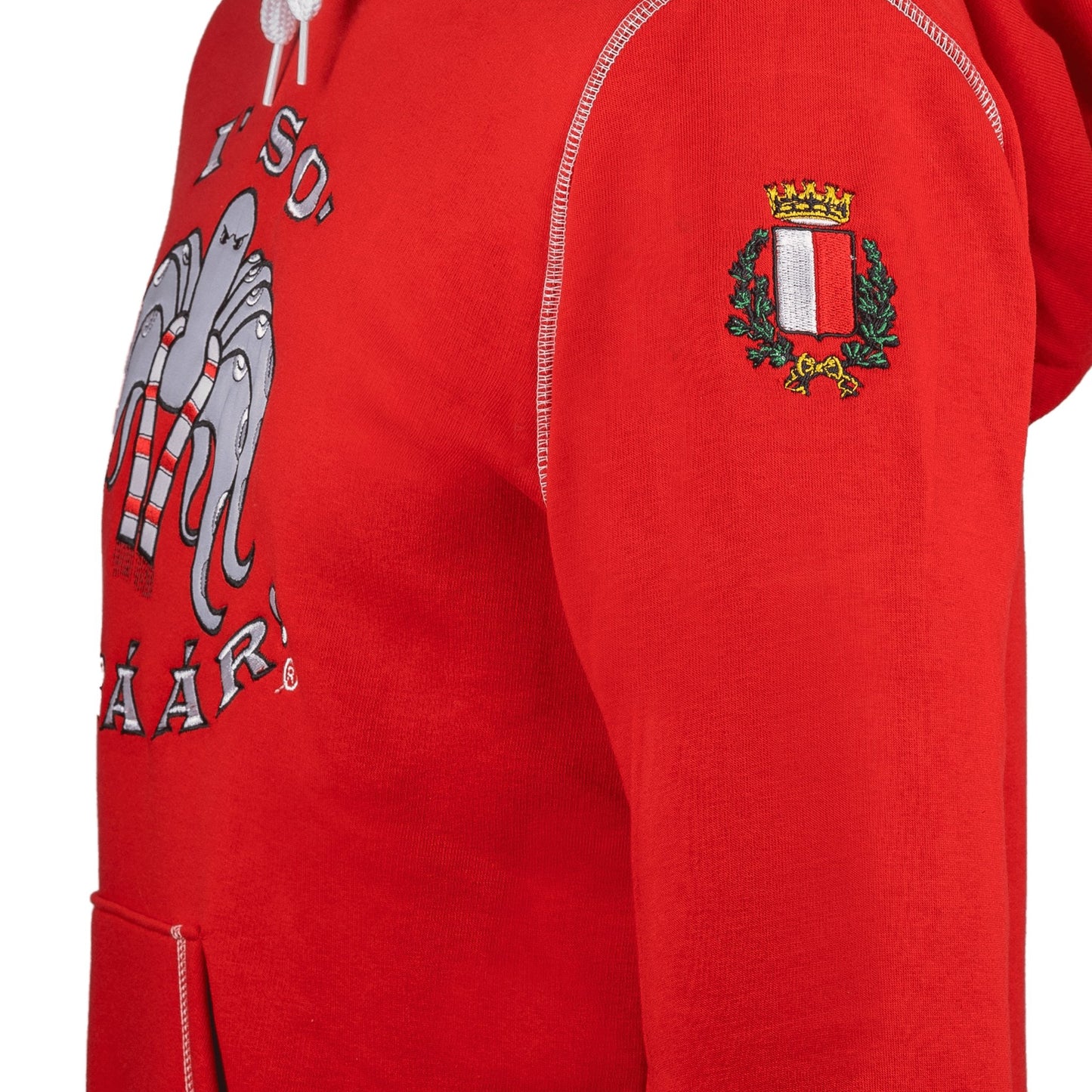 I So D Baar - La felpa invernale da stadio con ricamo - LABARI.SHOP